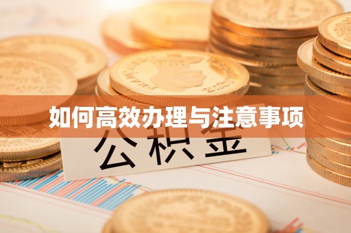 峨边如何高效办理与注意事项
