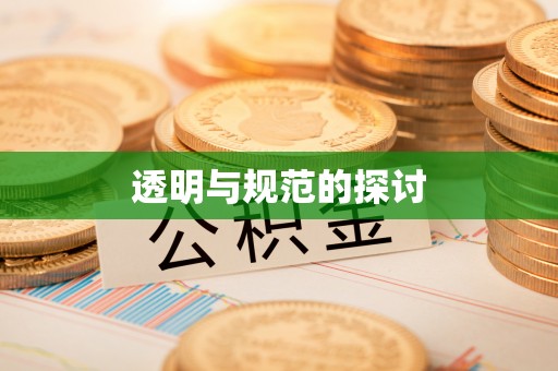 峨边透明与规范的探讨