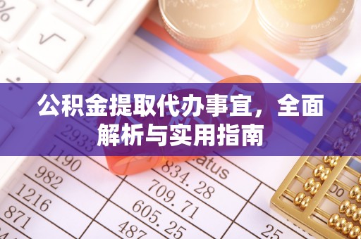 峨边公积金提取代办事宜，全面解析与实用指南