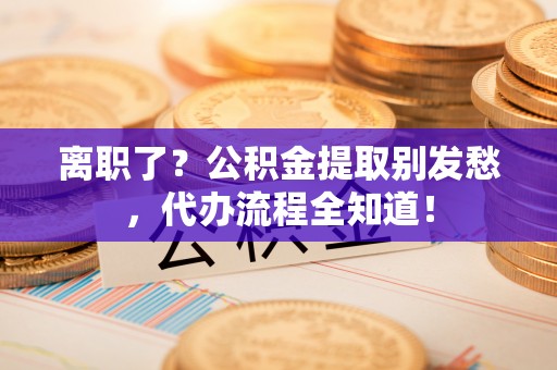 峨边离职了？公积金提取别发愁，代办流程全知道！